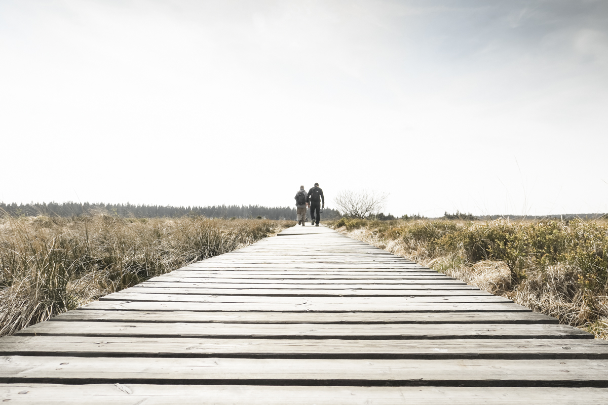 The wooden boardwalks lead to many areas of the park and there are signposts to guide visitors through the park.