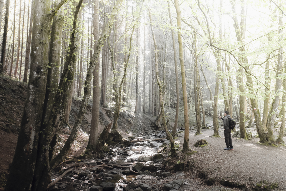 Wander off along the Ninglinspo, a pieceful mountain river hiking trail.