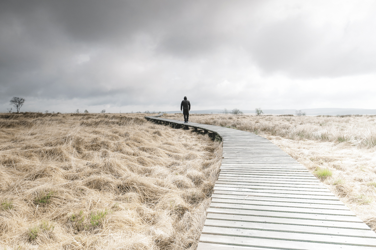 These boardwalk paths stretch out for miles and lead you over the wet marshes below.
