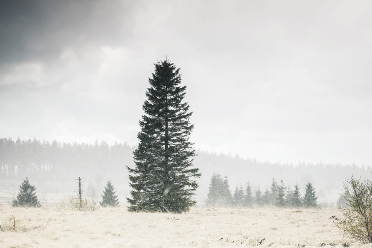 Snowstorms pass by as we hiked over the plains of Mont Rigi. Such a stunning sight!