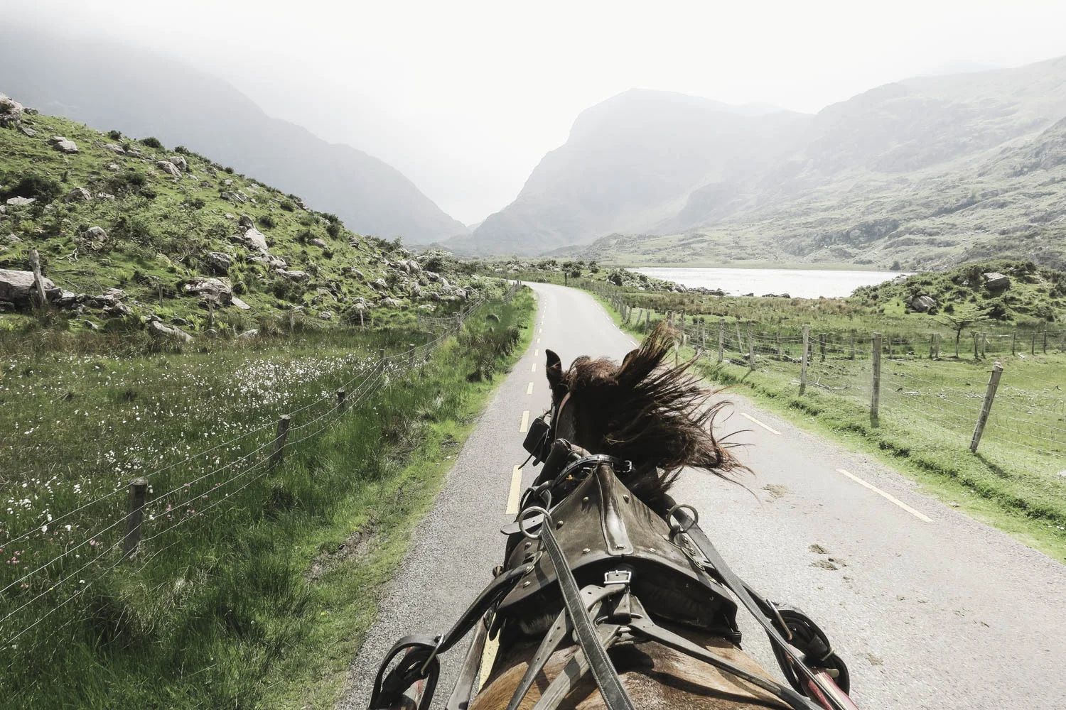 A bumpy, but fantastic ride!