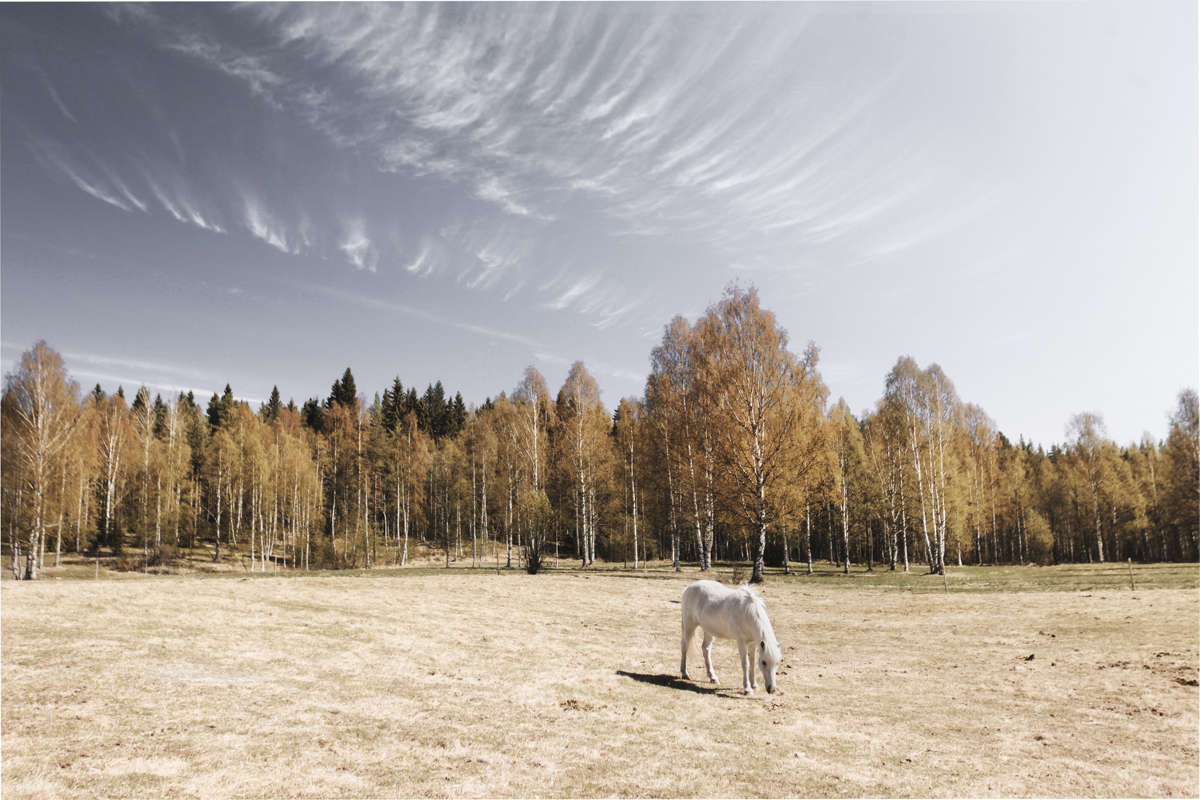 One of the sceneries during the bicycle tour.