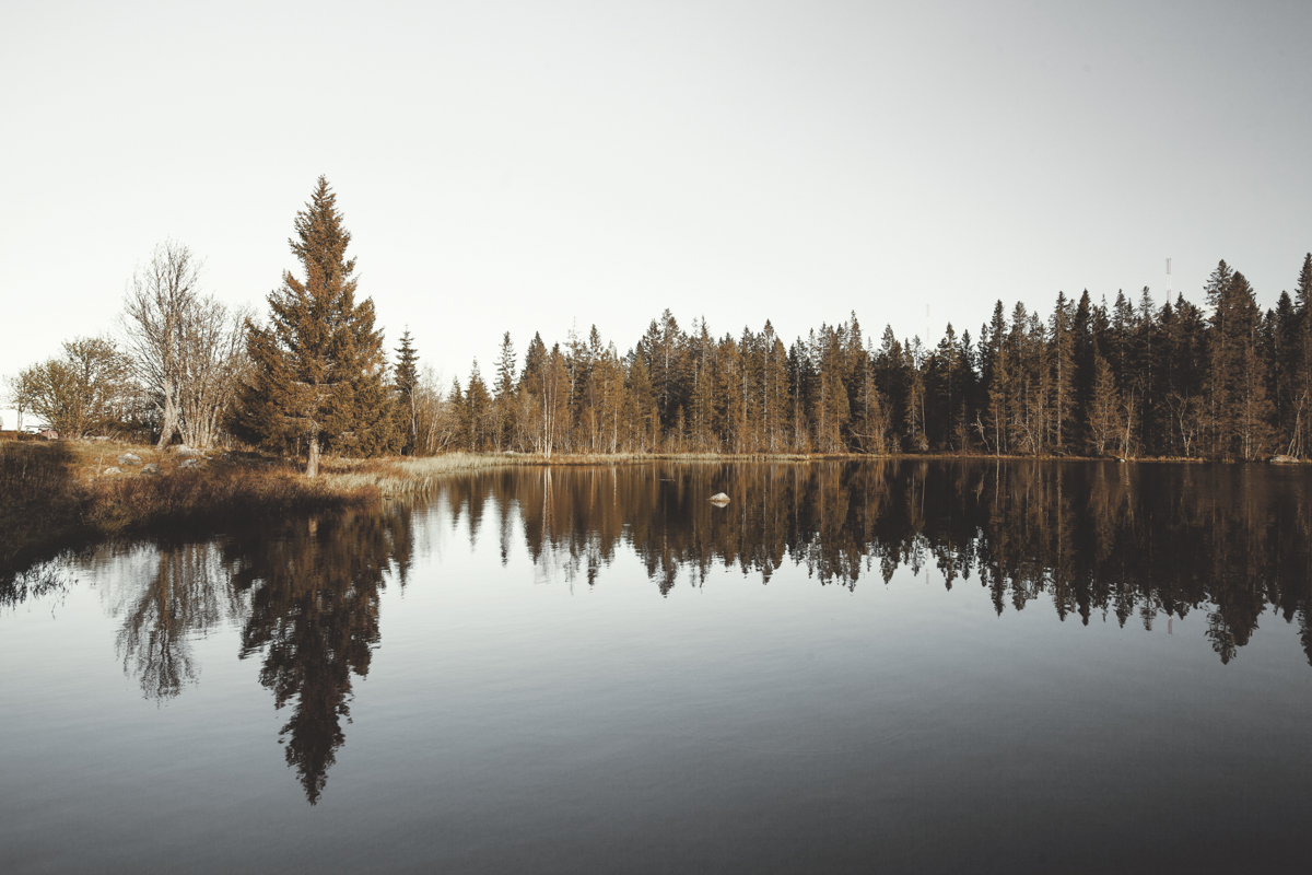 The small lakes you find everywhere have such a calming atmosphere.