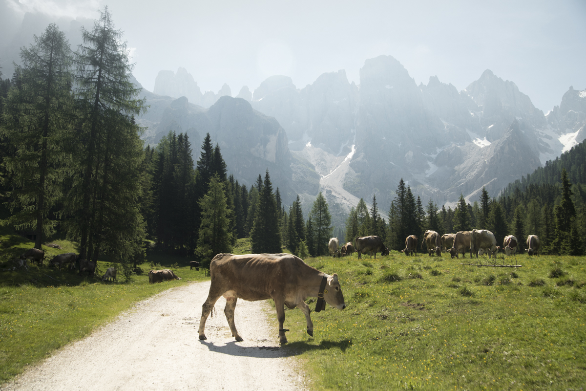 The bells you could hear here made you just want to sing along.