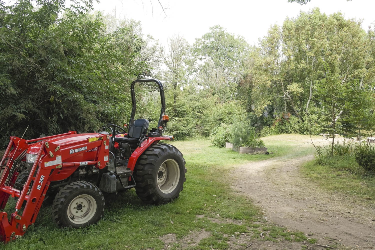 Old tractor with the herb garden.