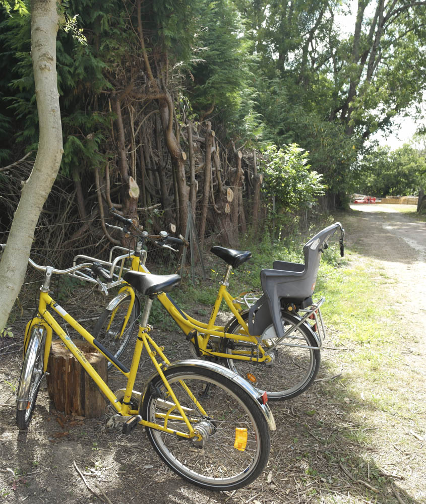 Two of the many bikes, which are free to use.