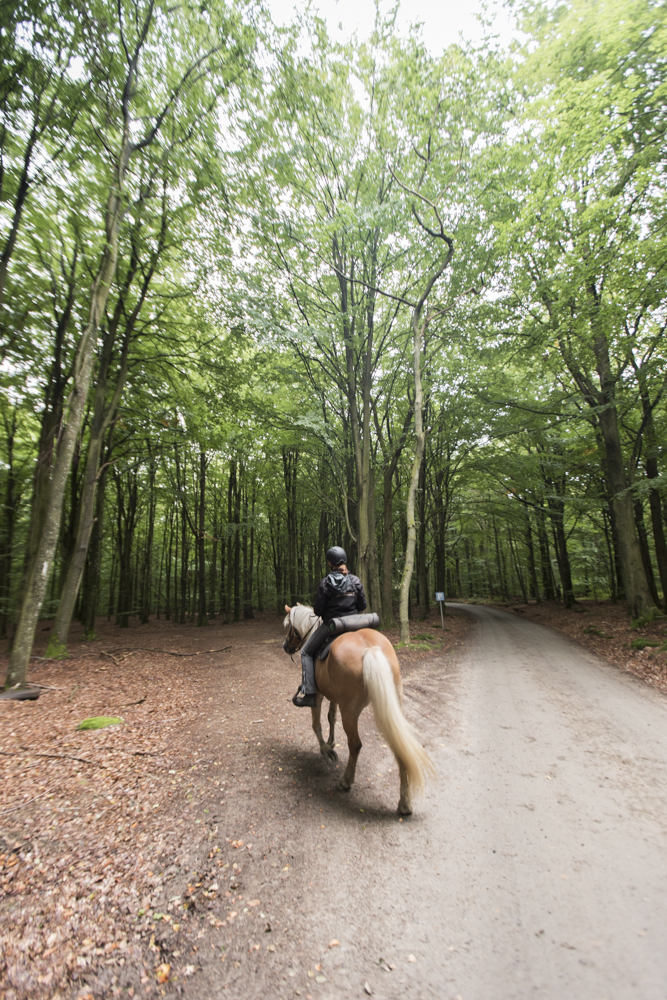 Claireonline_blog_sweden_Skane_soderasen_horseriding.jpg