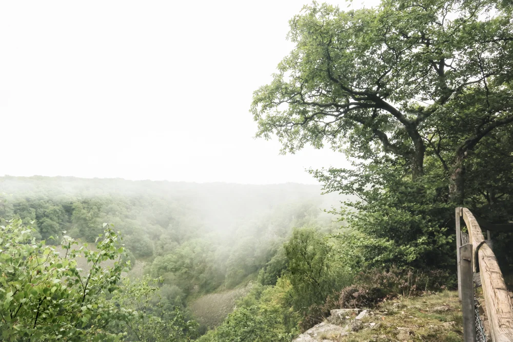 Claireonline_blog_sweden_Skane_soderasen_national_park2.jpg