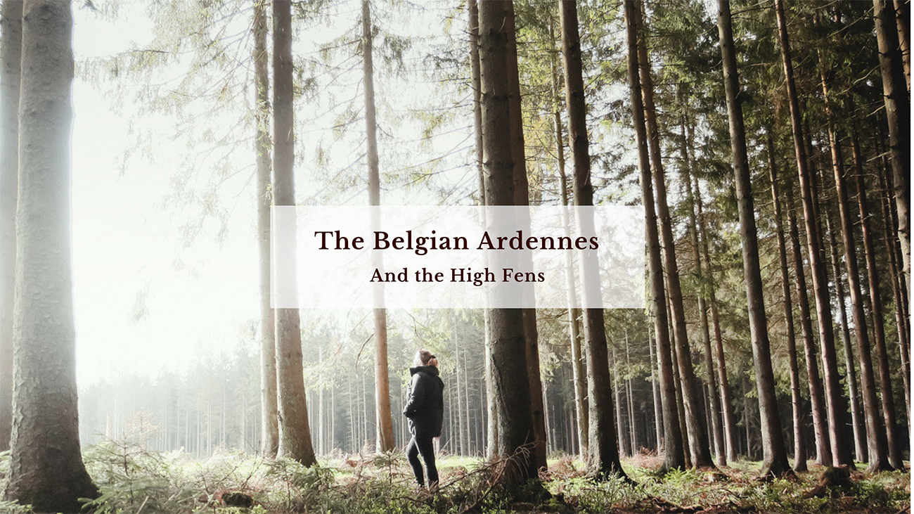 blog_claireonline.nl_Belgian_ardennes_1.png