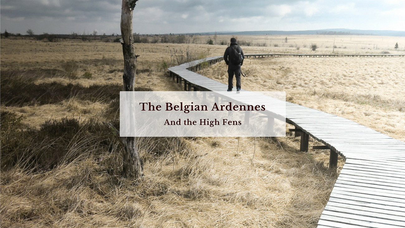 blog_claireonline.nl_Belgian_ardennes.png