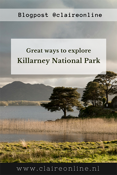 Killarney_national_park_claireonline_pinterest.png