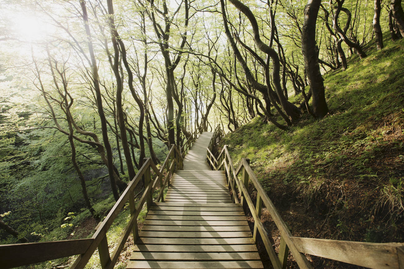Going down 497 stairs in the warm morning light was a magical experience