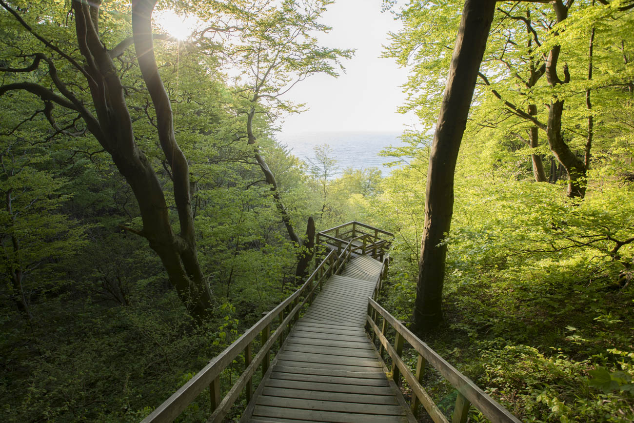 When the forest opens up, the view is just breathtaking