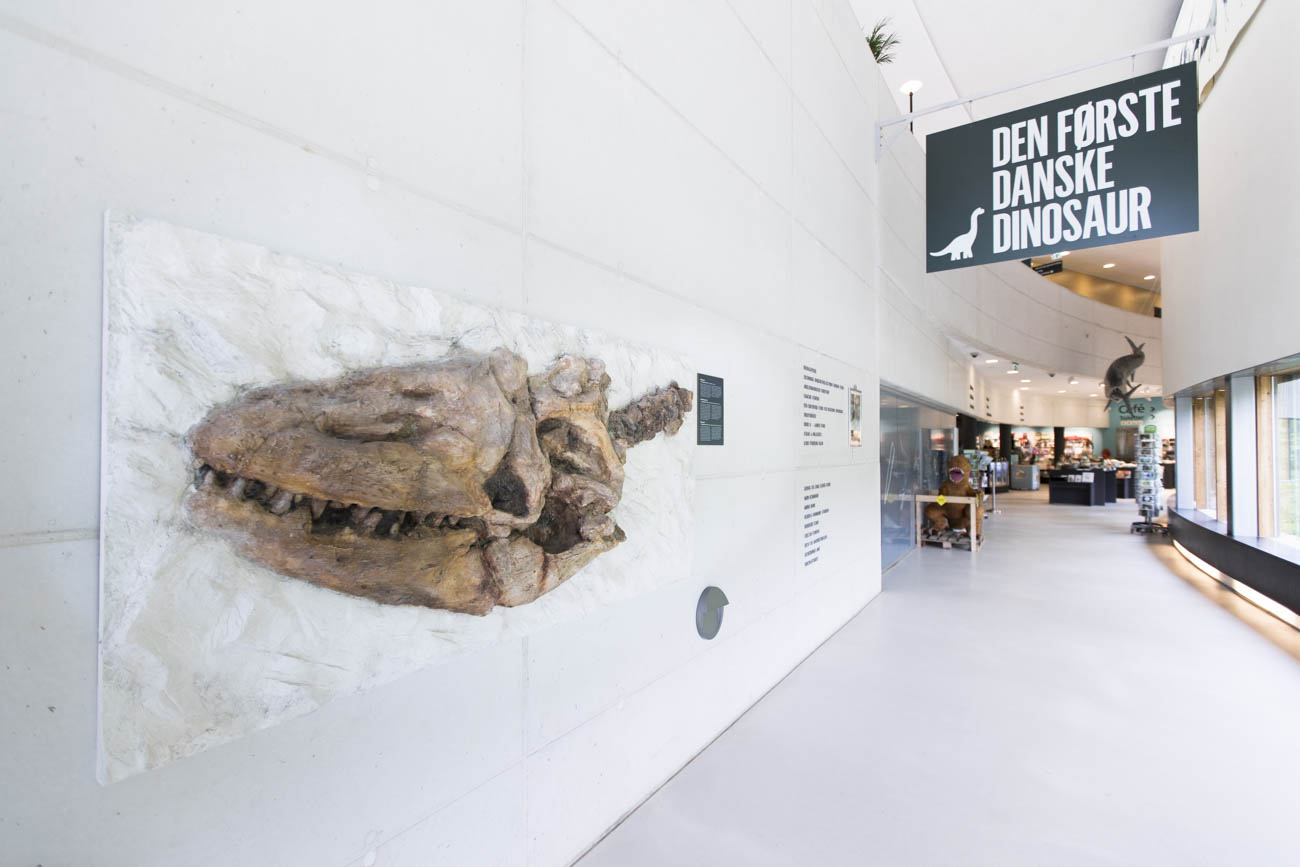 Learn all about Denmark's past at Møns Klint GeoCenter