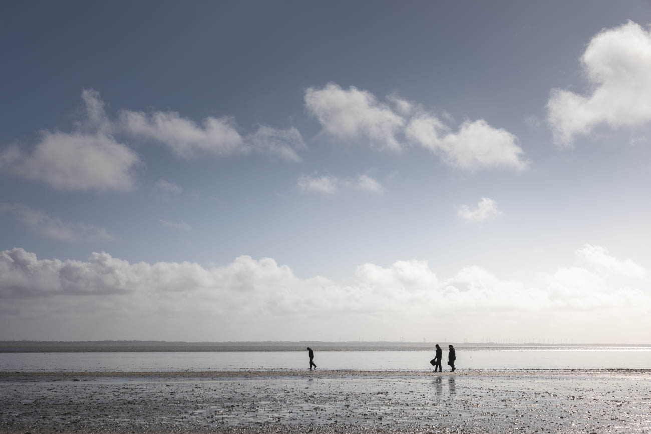 Join one of the unique oyster safari’s , where you can dig your own oysters.