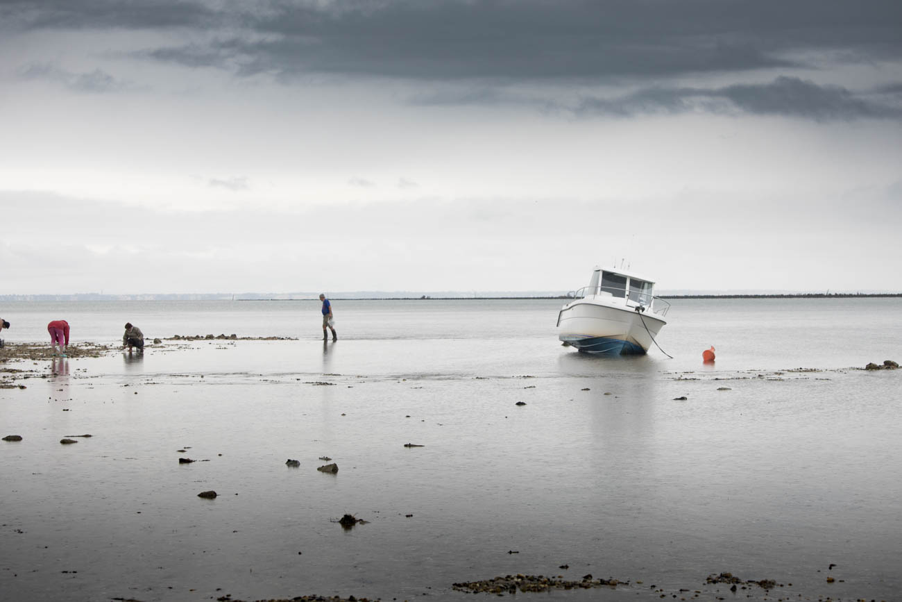 Claireonline.nl-Blog_Noirmoutier_CD_L5041.jpg