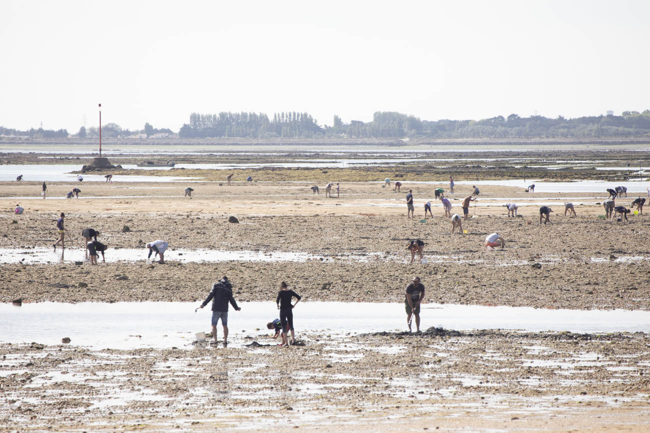 Claireonline.nl-Blog_Noirmoutier_CD_L6127.jpg