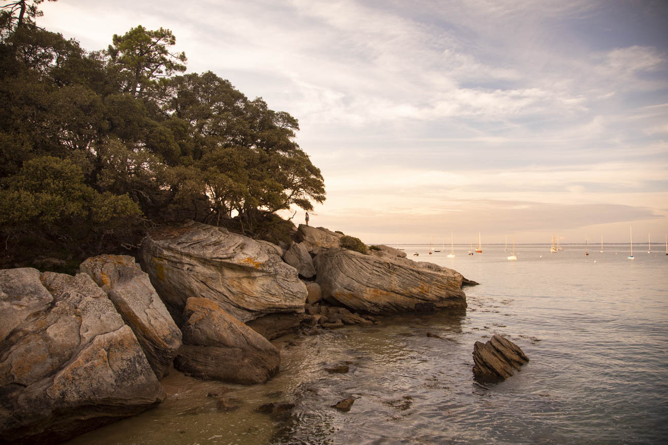 Claireonline.nl-Blog_Noirmoutier_CD_L5398.jpg