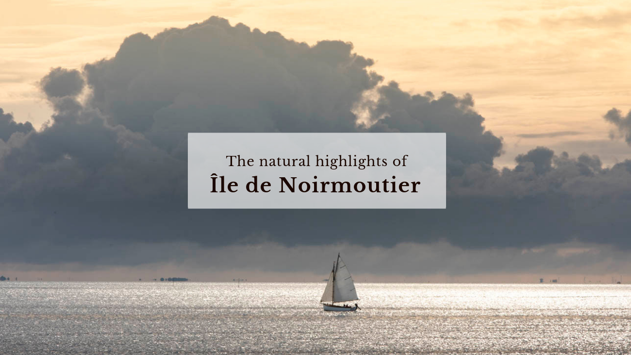 The Natural Highlights of Noirmoutier.png