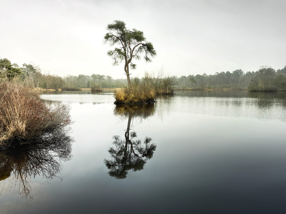 Claireonline.nl_Silence_#shotoniphone_doublevision_1500px.jpg