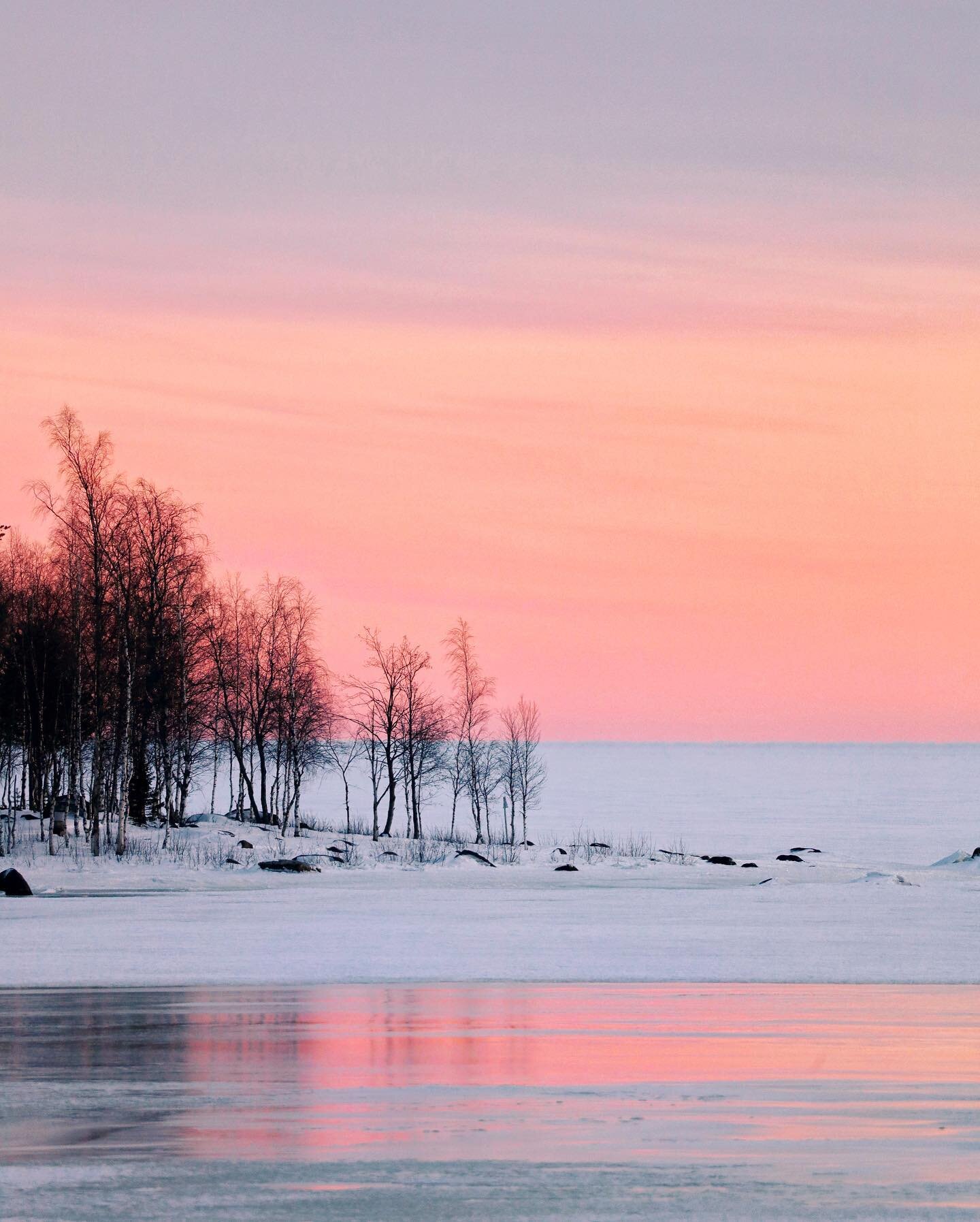 I am currently exploring the Heart of Lapland. And so far it has been truly magical! 💛💙 Make sure to check out my stories to see my adventures here. 🇸🇪 

@heartoflapland @swedishlapland