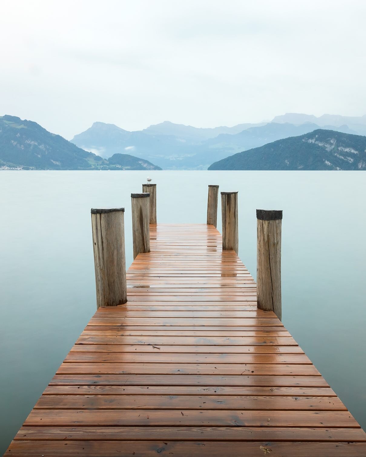 Throwing it back to this amazing moment of Silence, during my #Swisstainable adventure in the Lake Lucerne region last year!🇨🇭🌿

If you want to find out more about my sustainable journey and get inspired to travel responsibly, then head over to my