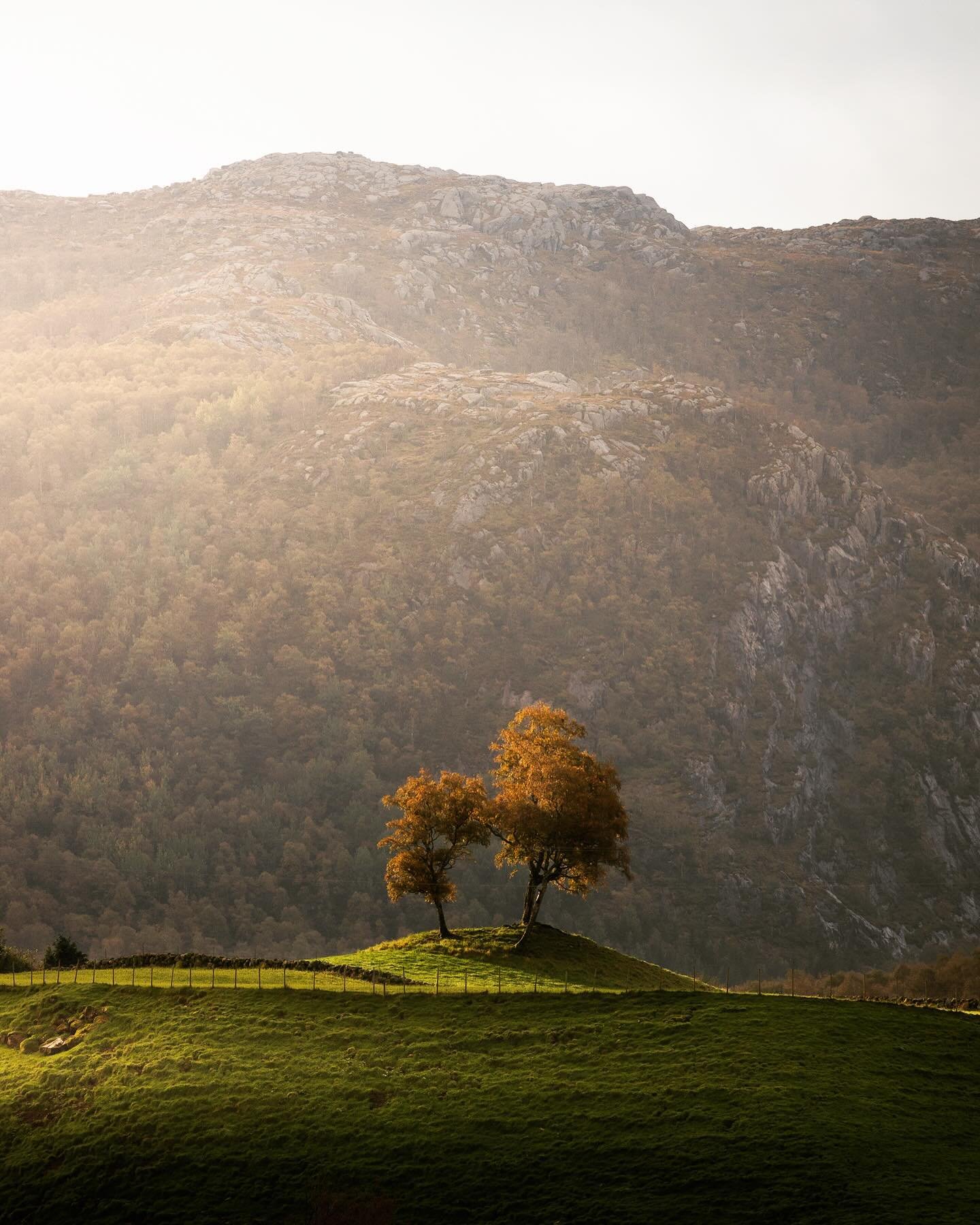 Chasing the golden hues of autumn in the heart of @regionstavanger. 🍂🧡 #edgeofnorway #fjordnorway