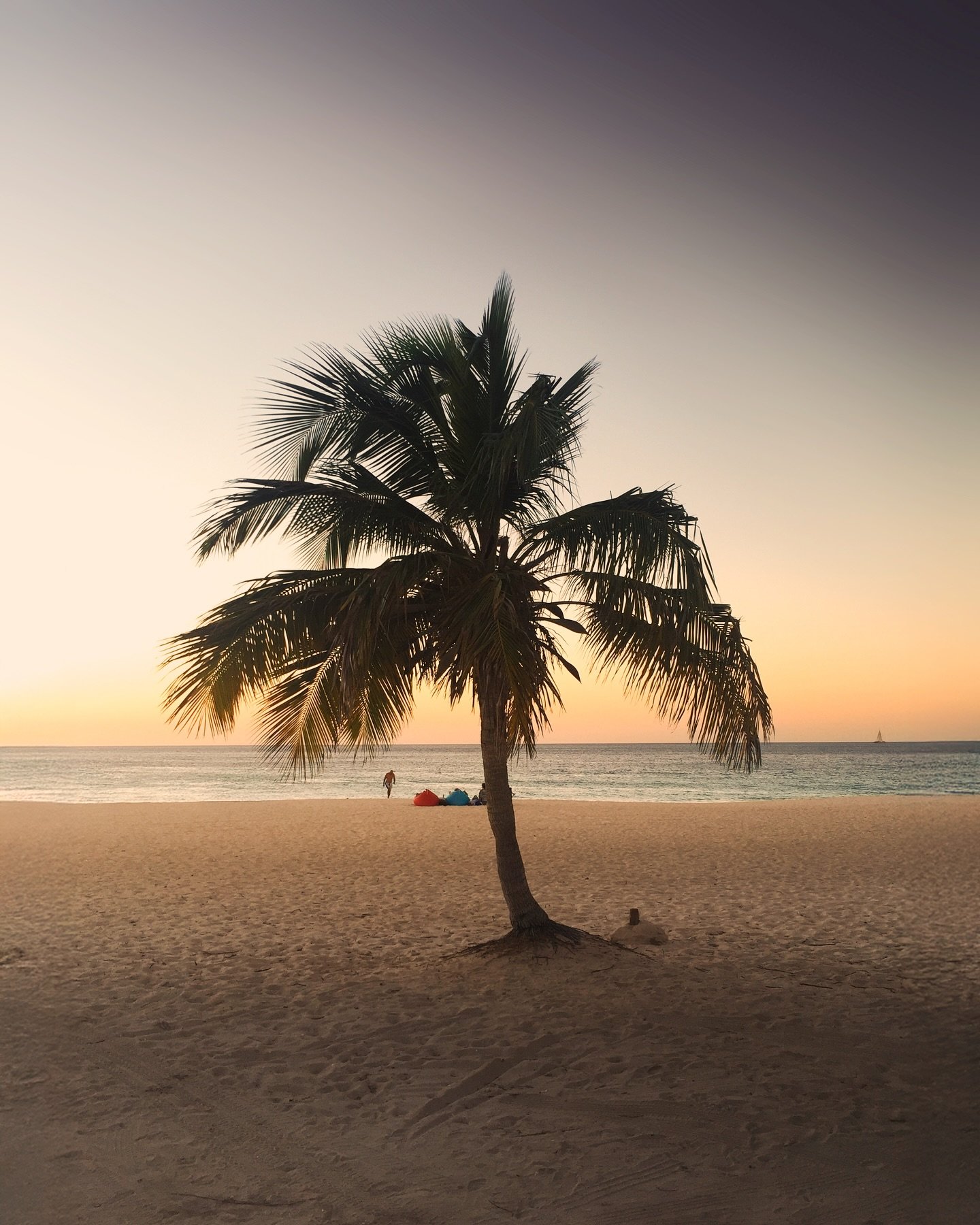 I am counting down the hours until I set foot on the happy island of Aruba again! 🌴 Ready to explore the beauty of nature this paradise has to offer, I can&rsquo;t wait! 

@aruba.nl #arubanl #Onehappyisland #TheArubaEffect