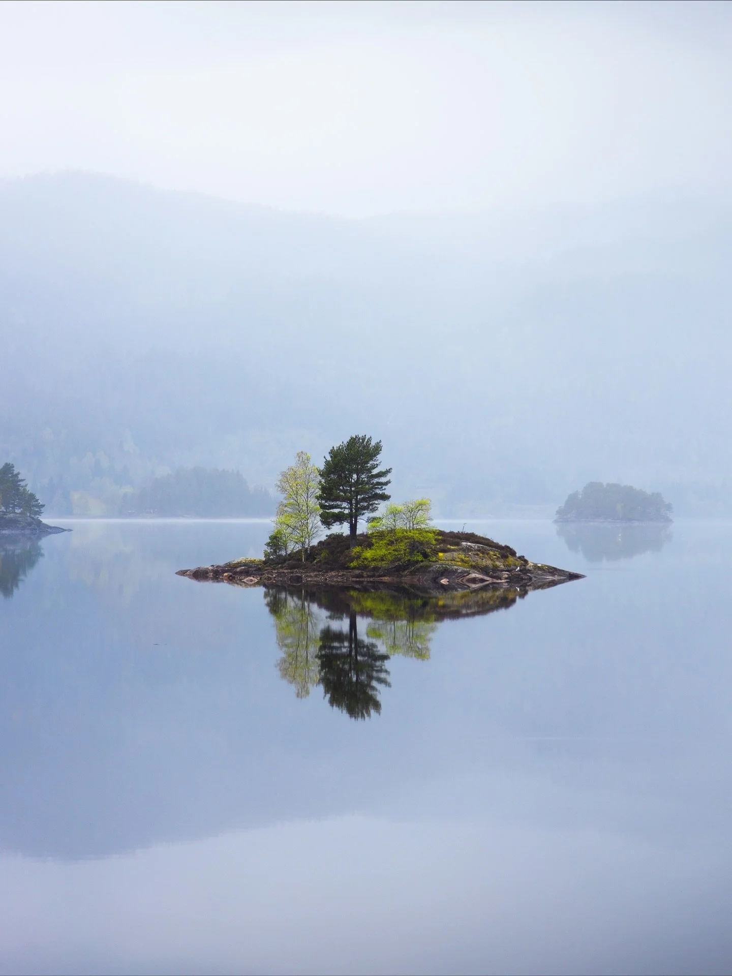 A quiet morning in Olyedal, Norway. The mist lifted slowly, revealing a landscape I couldn&rsquo;t stop photographing. Silence and pure magic. ✨ #silence