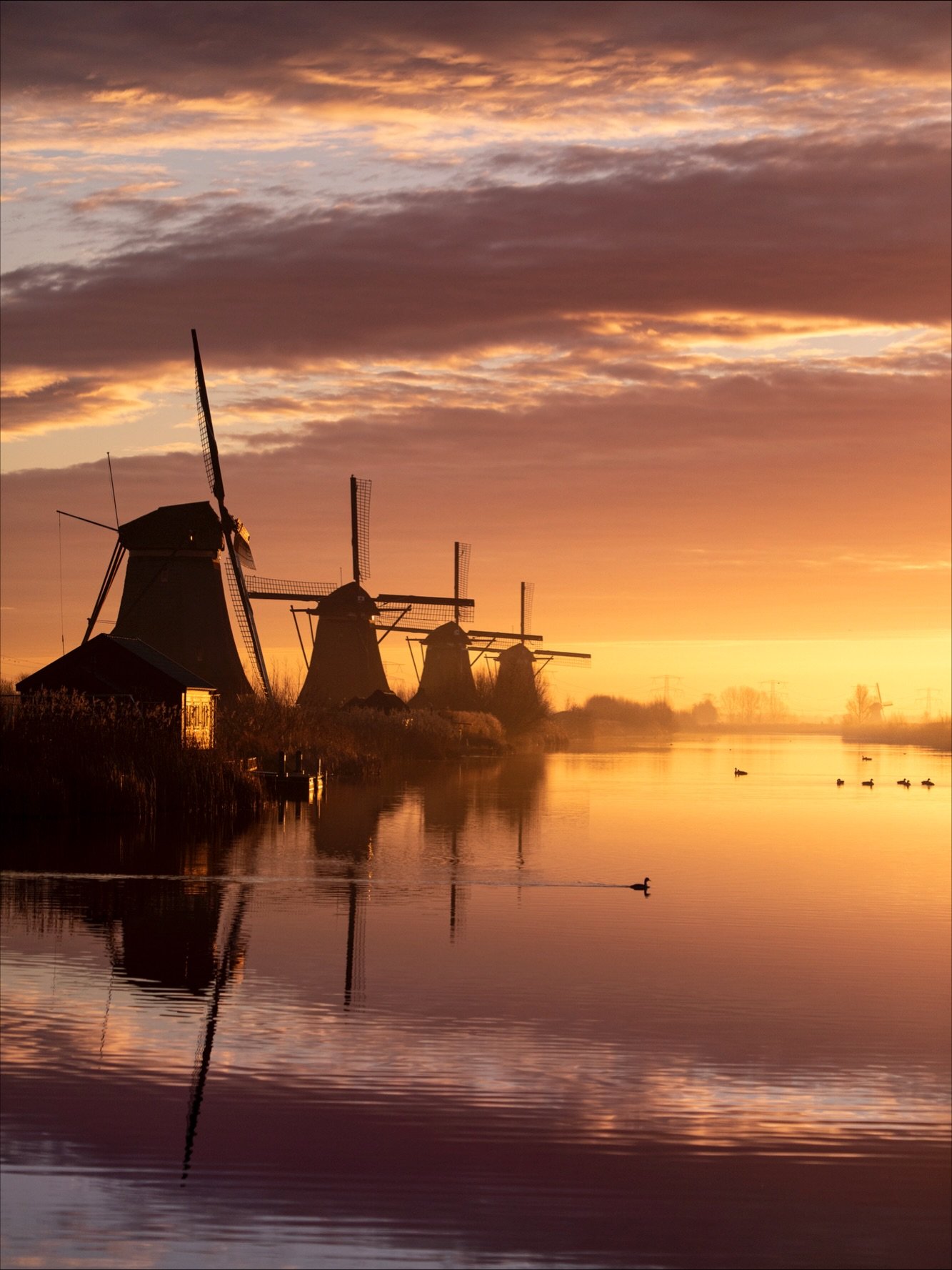 A perfect photography morning at Kinderdijk. A soft golden start to the day, captured in a lucky moment of stillness. 📷✨

#kinderdijk #silence #sunrise