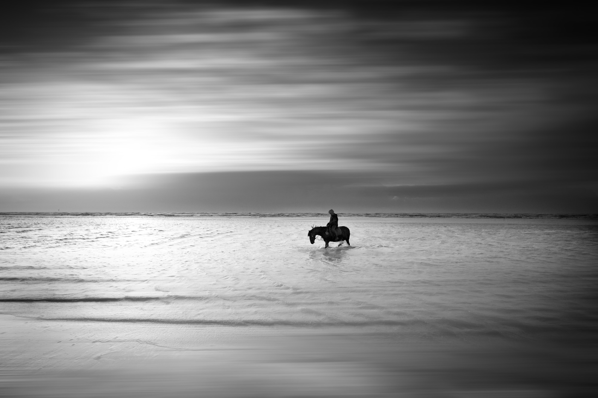 equine beach-3.jpg