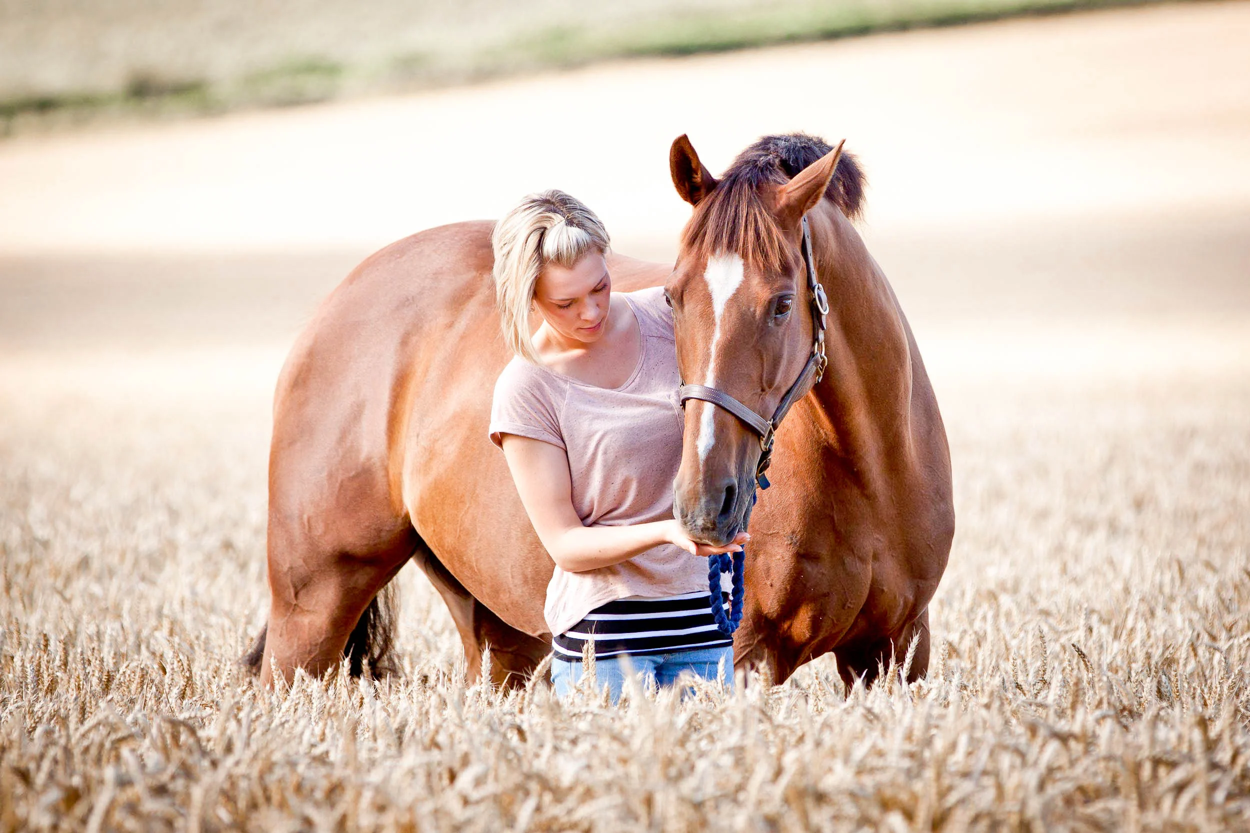 equine-photography-kent-2-7.jpg
