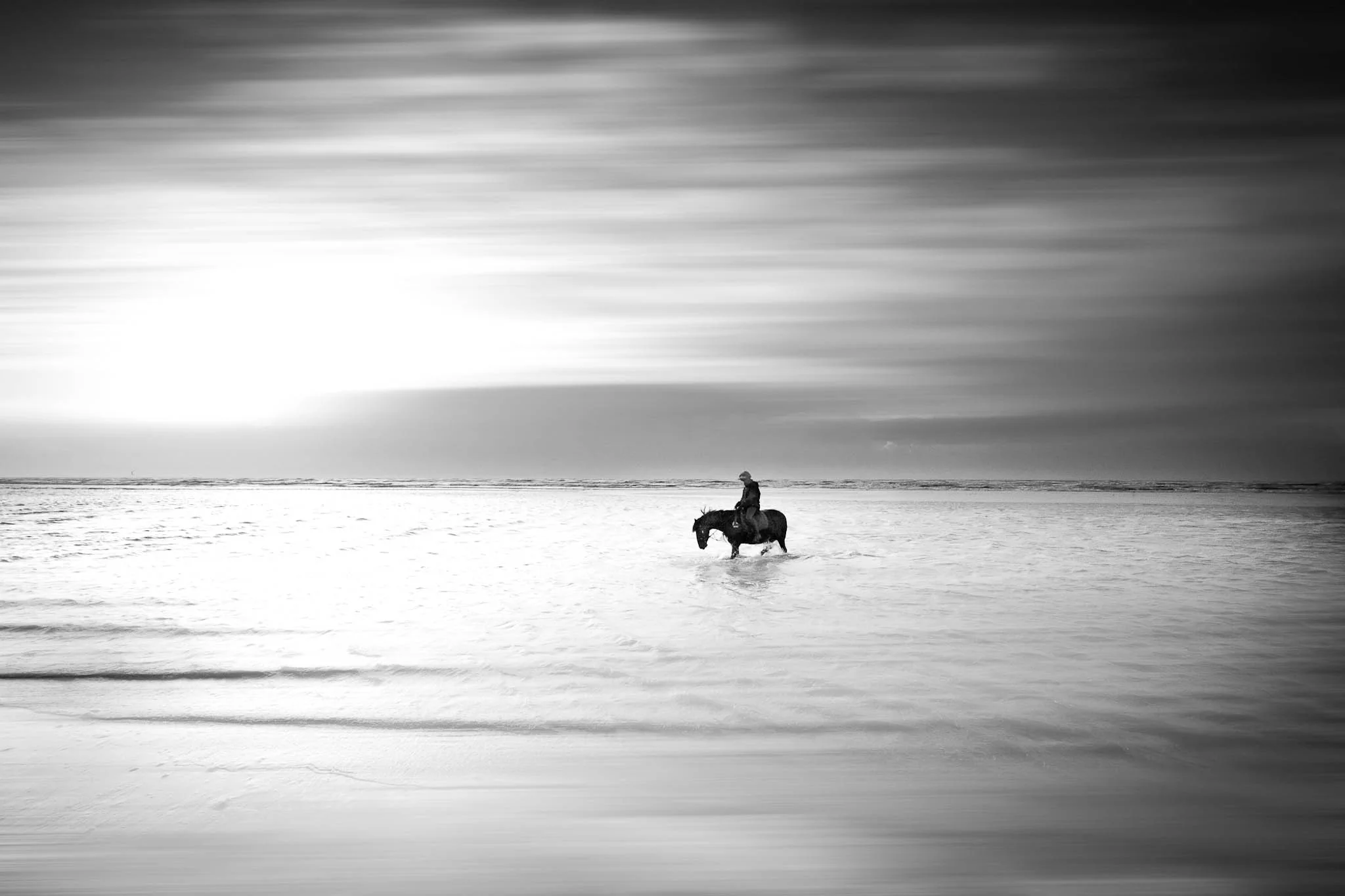 equine-photography-kent-41.jpg