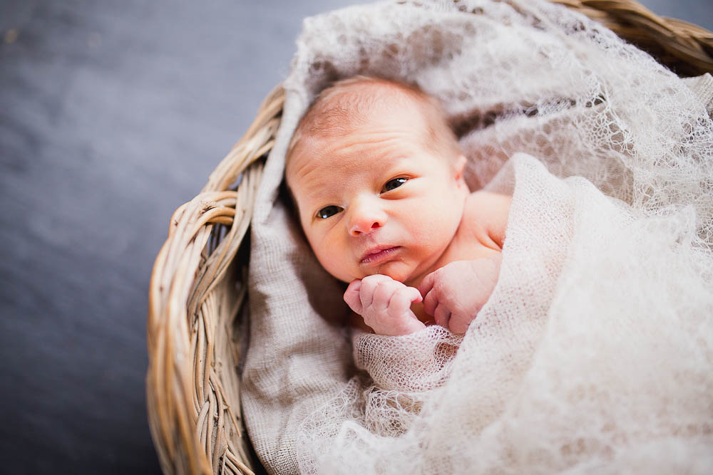 newborn-photographer-rochester-10.jpg