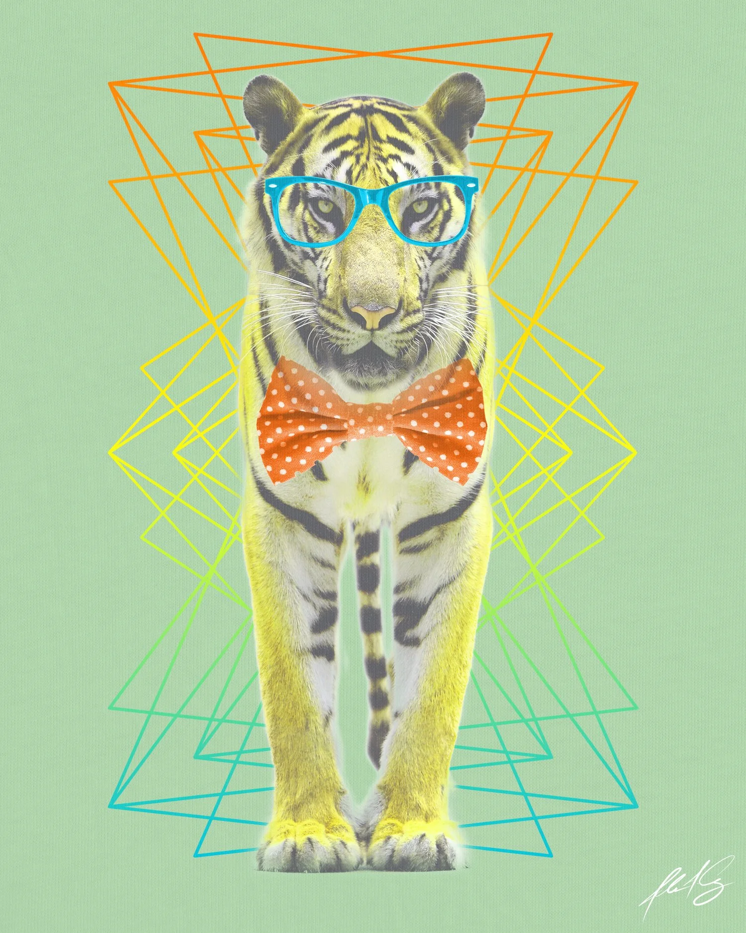 hiptiger.jpg