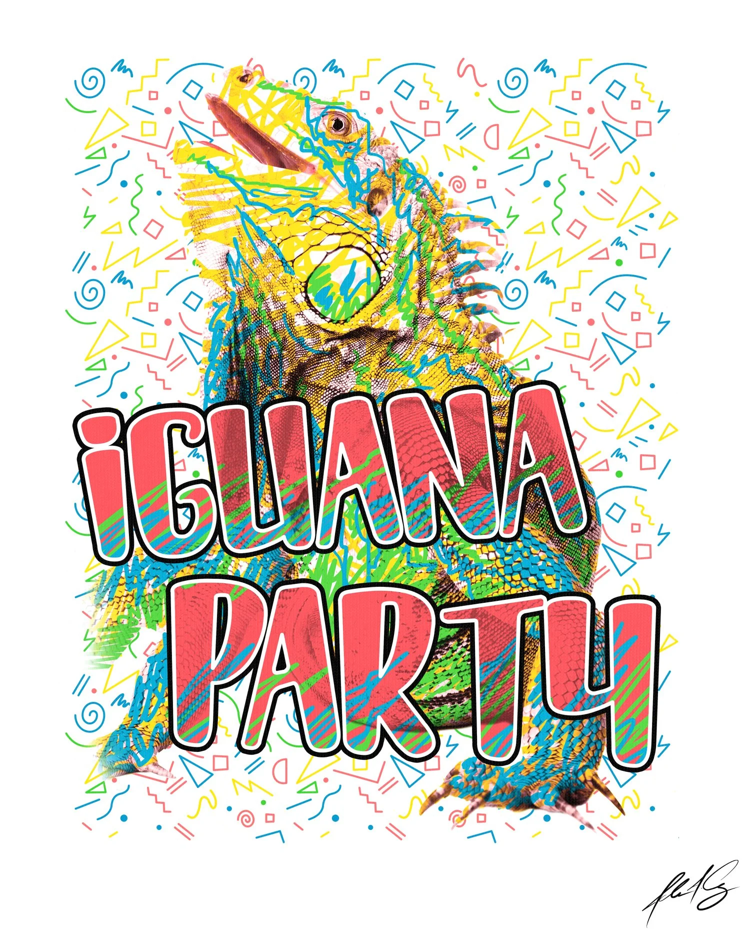 iguana.jpg