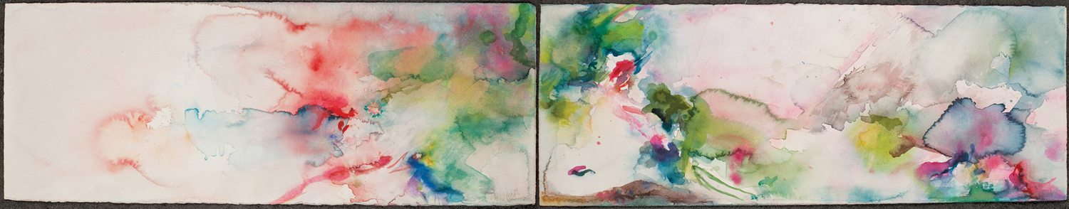 Starfruit + Dragonflower. Watercolor. 60" w x 11" h