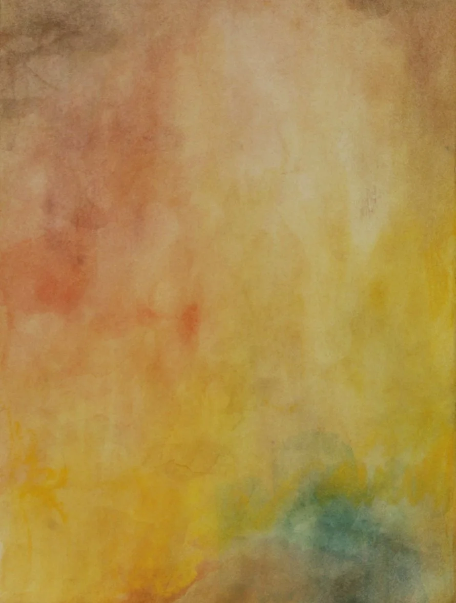 SOLD - Cava - Golden Light [13" w x 17" h] $500 