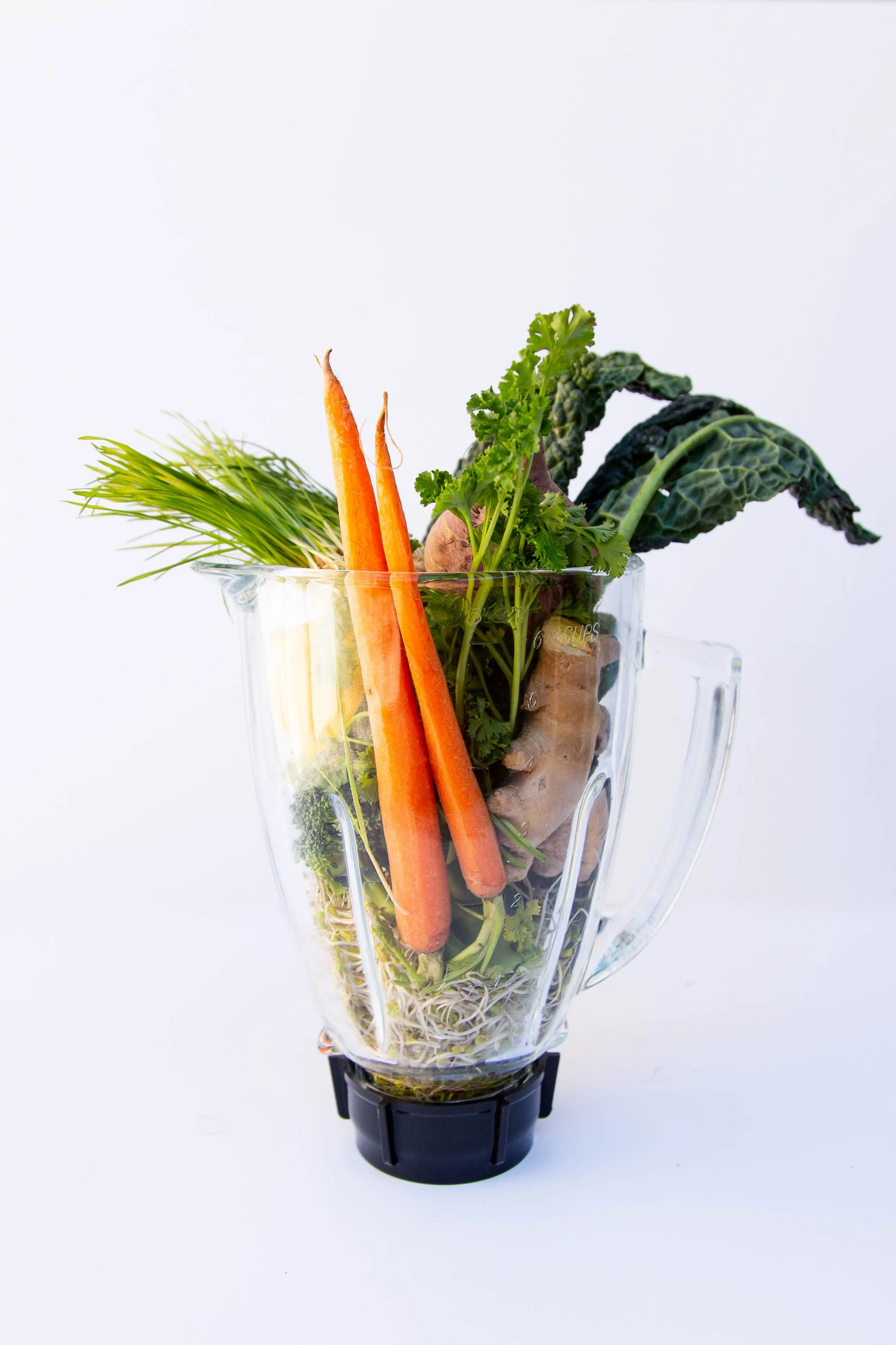 Blender-Veggies.jpg