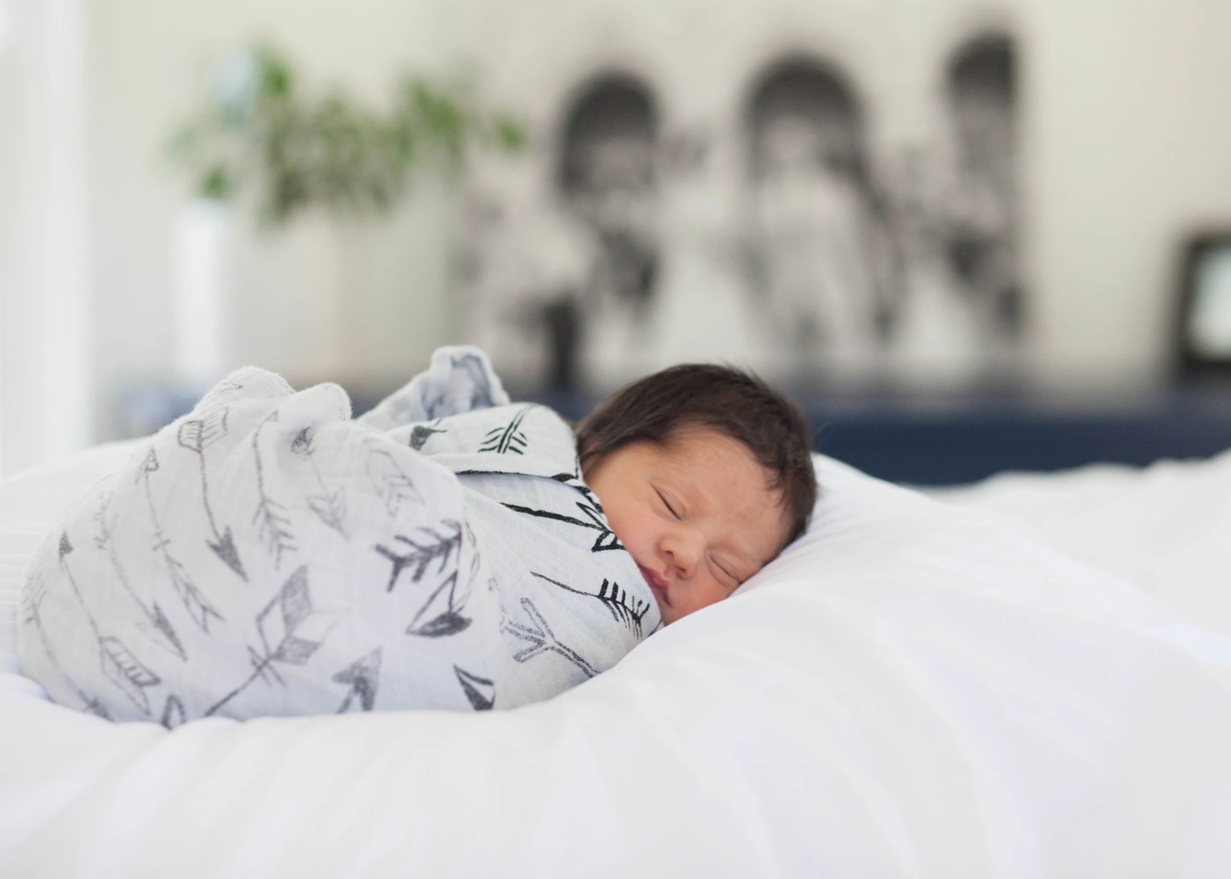 Cecilia_April_2016 (19 of 36).jpg