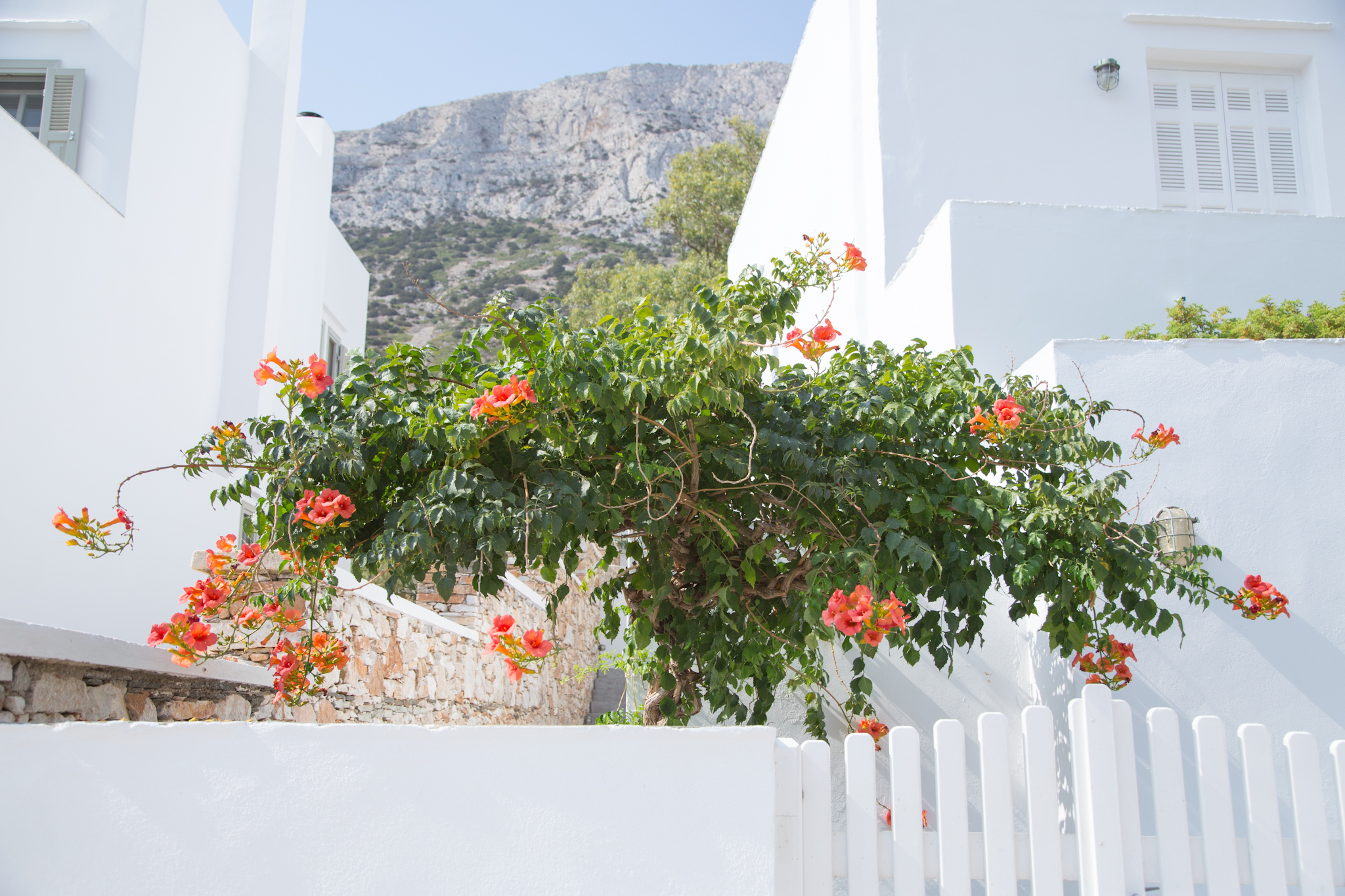 Sifnos (11 of 23).jpg