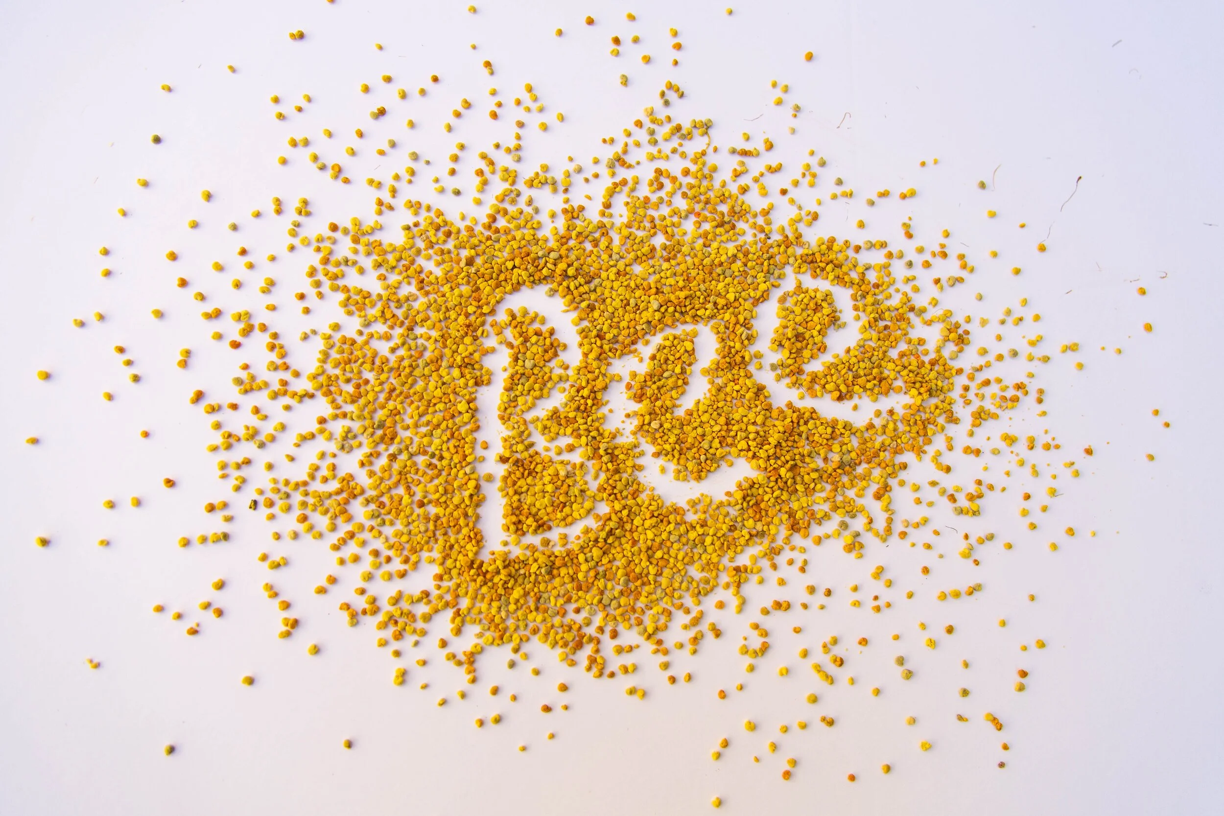 Bee-Pollen-2.jpeg