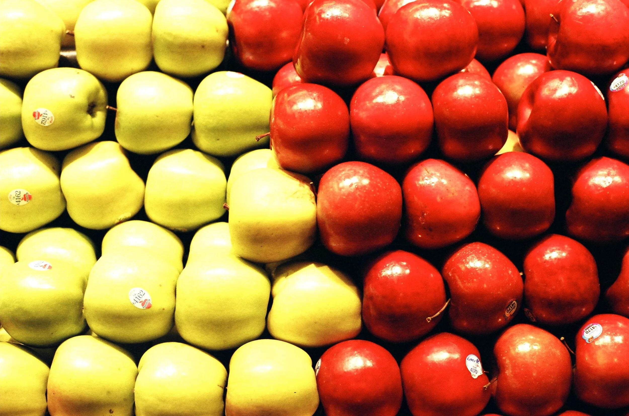 87500015.jpg