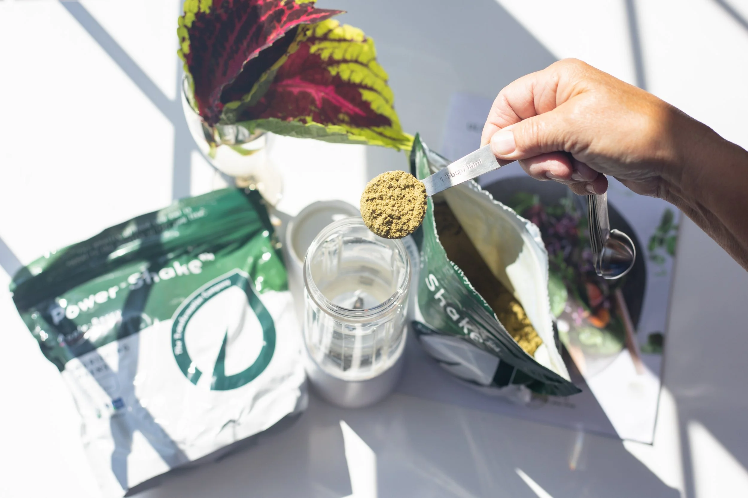 Power SHake-Hand.jpg