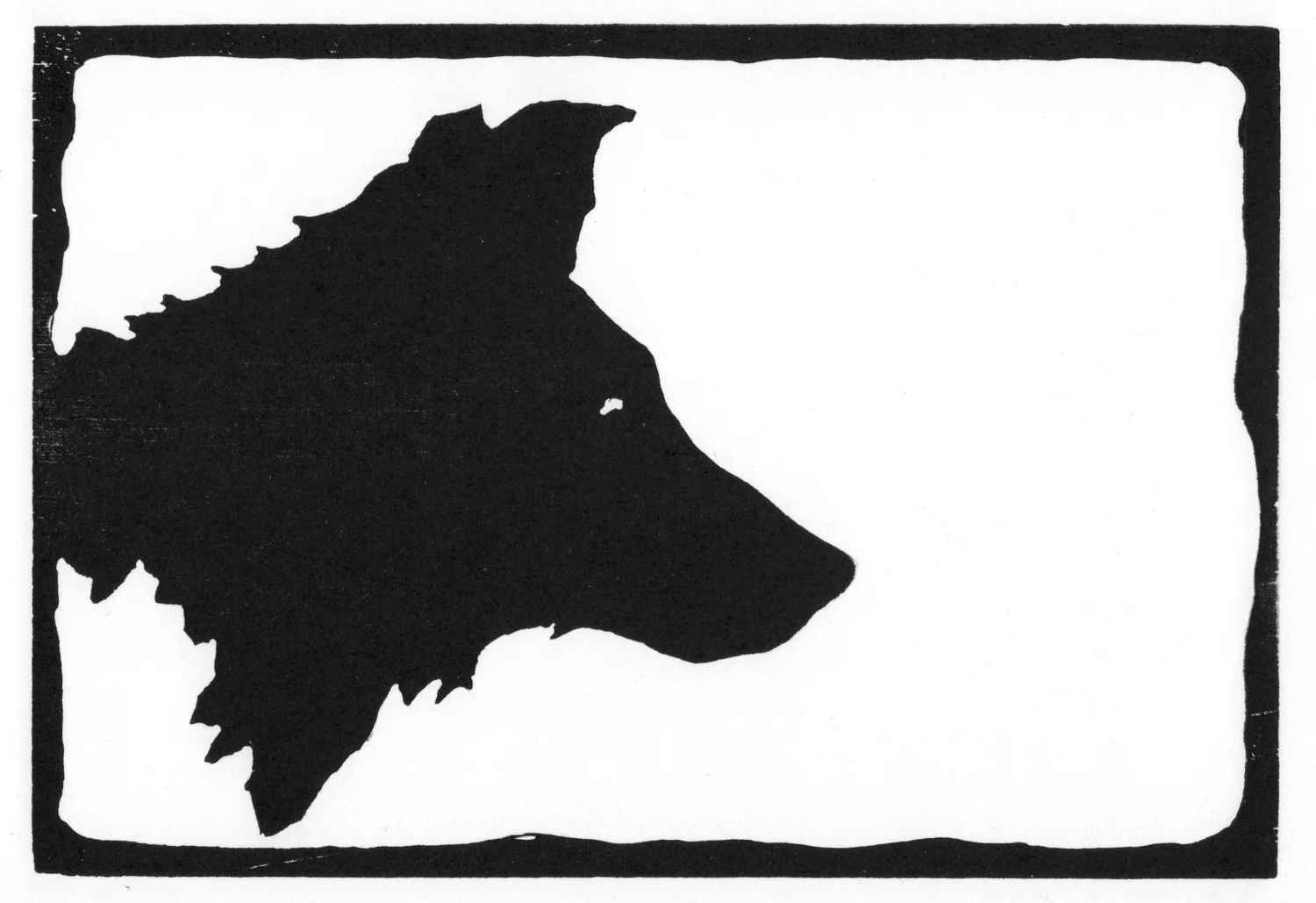 Young Wolf II • © Fred Montague $48 • image 8 x 5.5 • mat 14 x 11 Edition size: 88 • status: low quantity