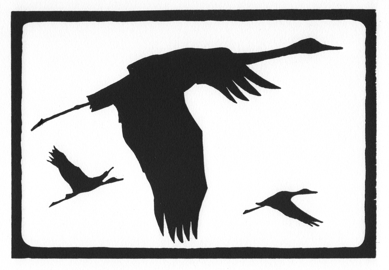 Sandhill Cranes • © Fred Montague $48 • image 8 x 5.5 • mat 14 x 11 Edition size: 88 • status: available