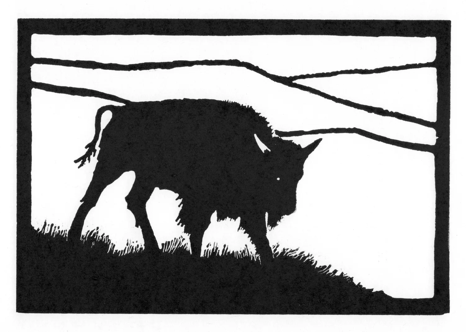Yearling Bull • © Fred Montague $48 • image 8 x 5.5 • mat 14 x 11 Edition size: 88 • status: available