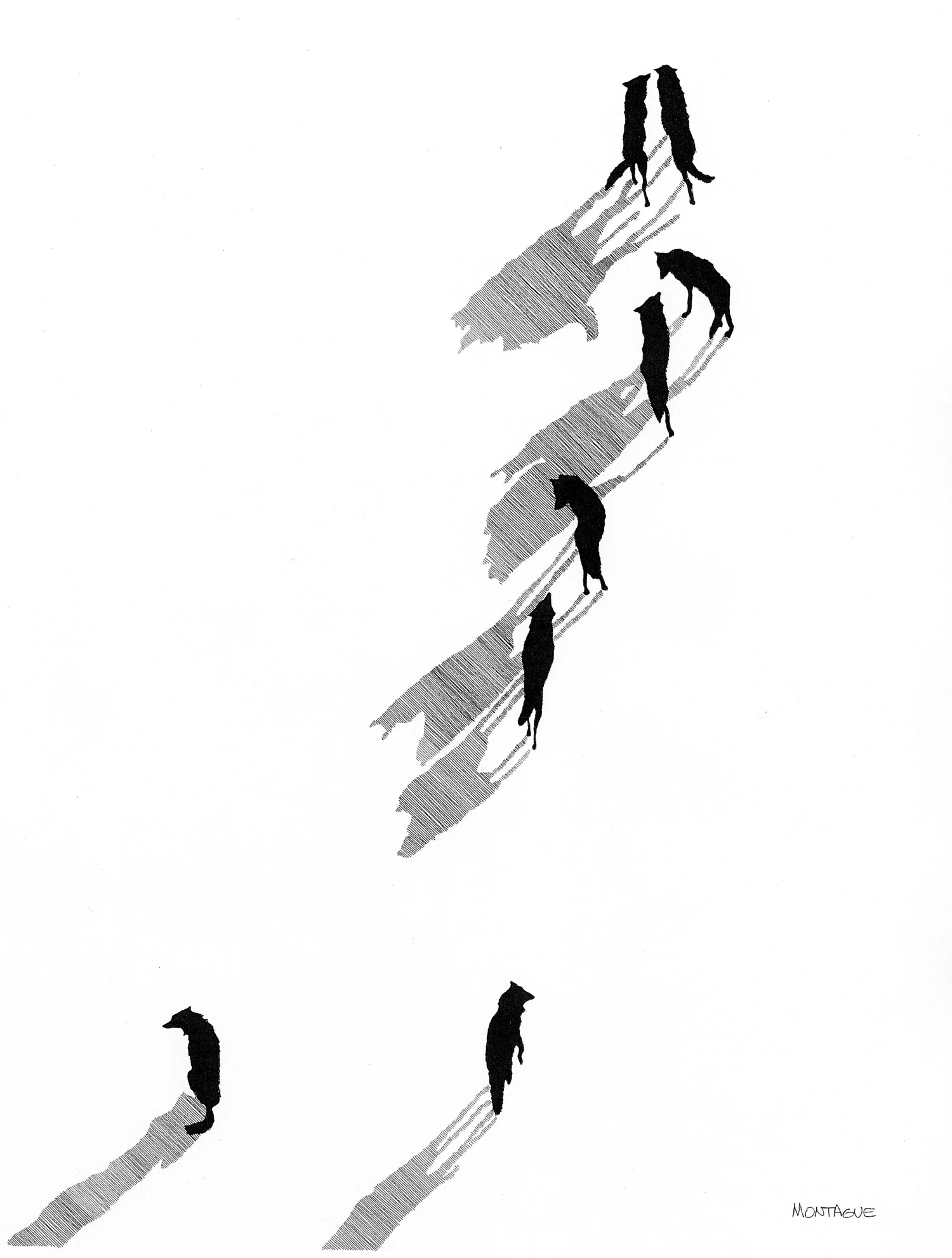 Wolf Pack-Together As One • © Fred Montague $185 • Photolithograph • image 19 x 26 unmatted Edition size: 880 • status: available