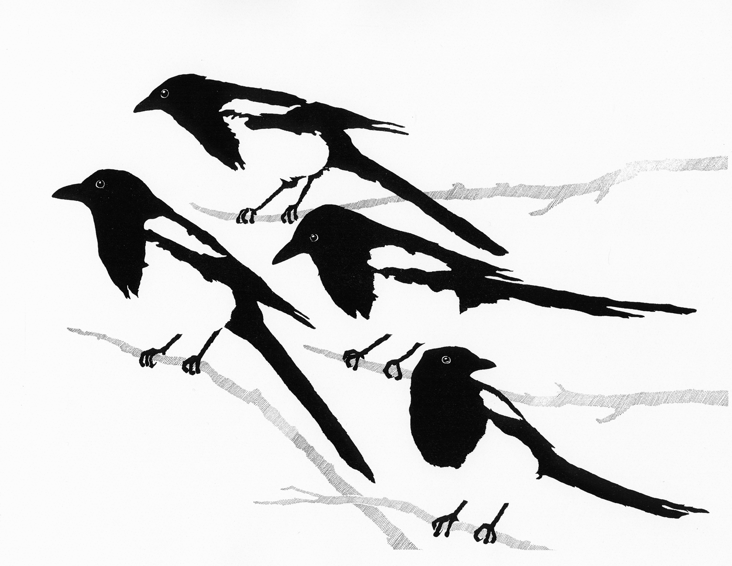 Black Feathers, White Air • © Fred Montague $185 • Photolithograph • image 27 x 19 unmatted Edition size: 880 • status: available