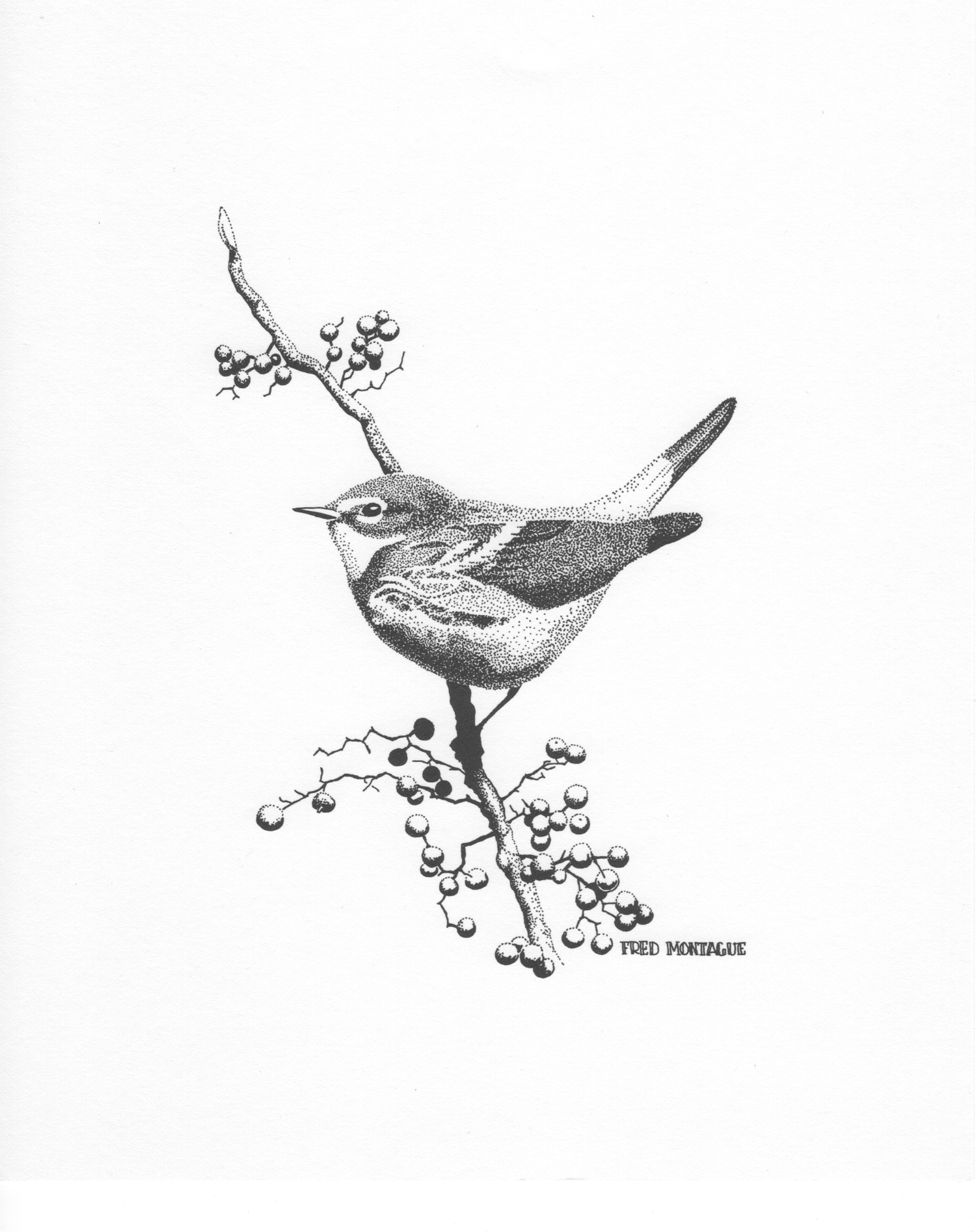 Autumn Treat • © Fred Montague $40 • Photolithograph • image 5 x 6.5 matted 8 x 10 Edition size: 200 • status: low quantity